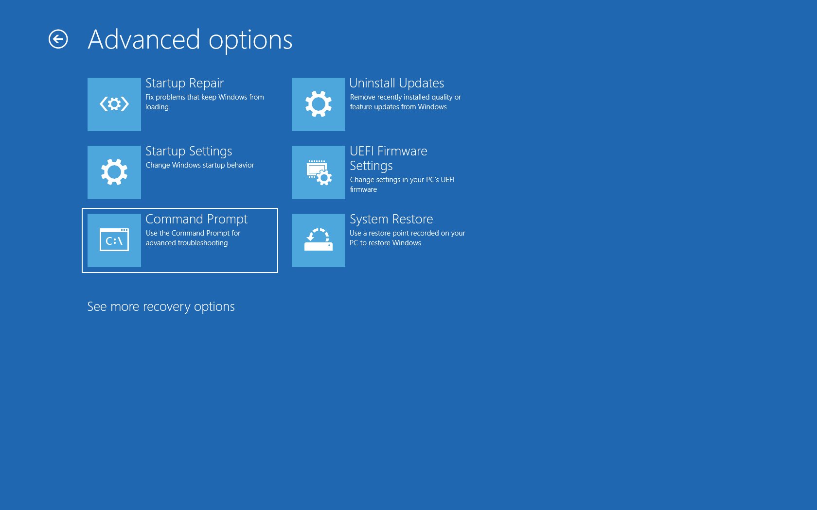 Click on "Advanced options."
Select "Troubleshoot" and then "Advanced options."